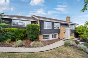 Front- click for photo gallery